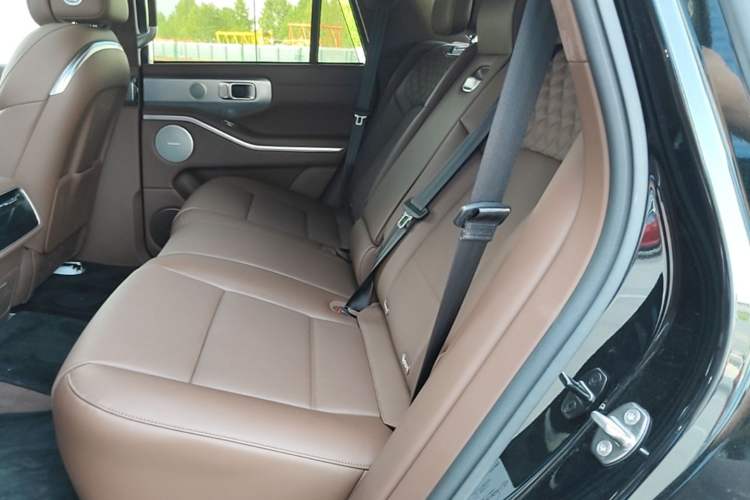 Used Tank 700 New Energy 2024 Hi4-T Extreme Edition Left Rear Seat