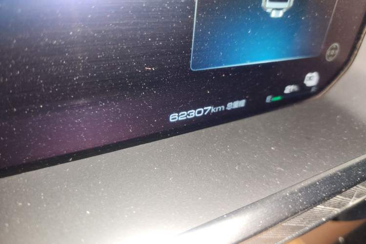 Used Tank 700 New Energy 2024 Hi4-T Ultimate Edition Odometer Close Up