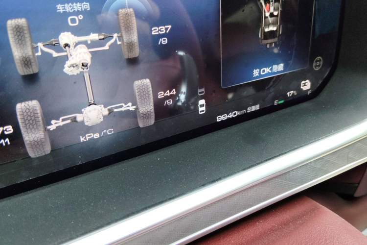 Used Tank 700 New Energy 2024 Hi4-T First-Edition Limited Model Odometer Close Up