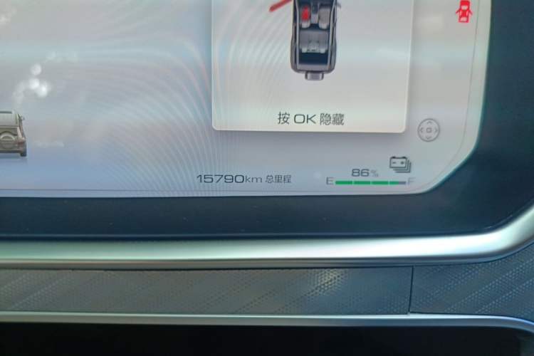 Used Tank 700 New Energy 2024 Hi4-T Extreme Edition Odometer Close Up