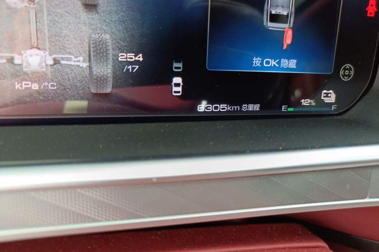 Used Tank 700 New Energy 2024 Hi4-T Extreme Edition Odometer Close Up