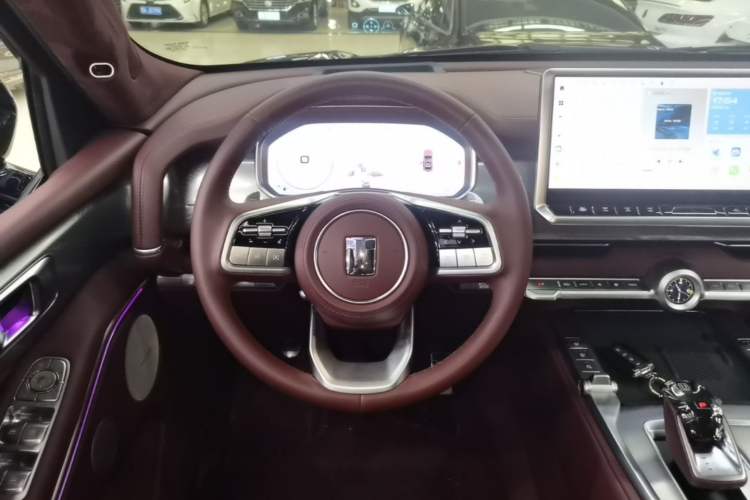 Used Tank 700 New Energy 2024 Hi4-T Extreme Edition Steering Wheel