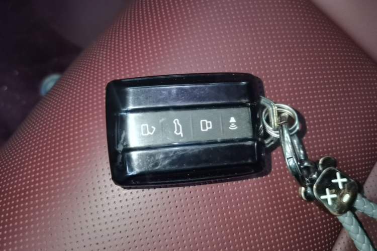 Used Tank 700 New Energy 2024 Hi4-T Extreme Edition Vehicle Key