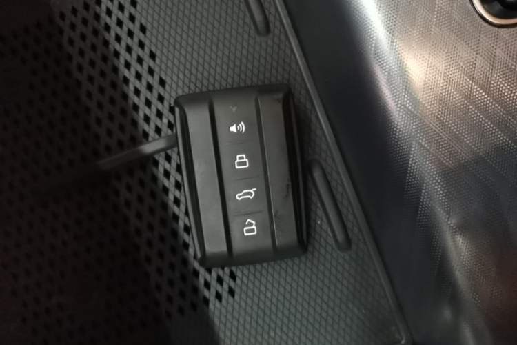 Used Tank 700 New Energy 2024 Hi4-T Extreme Edition Vehicle Key