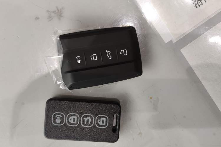 Used Tank 700 New Energy 2024 Hi4-T Extreme Edition Vehicle Key