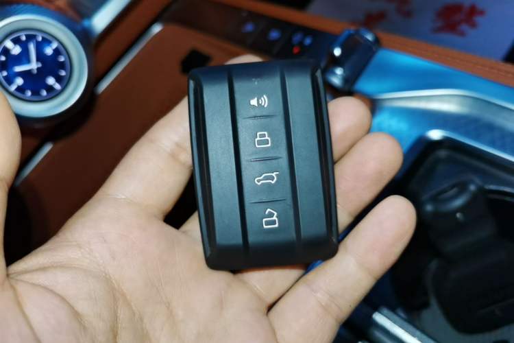 Used Tank 700 New Energy 2024 Hi4-T Extreme Edition Vehicle Key