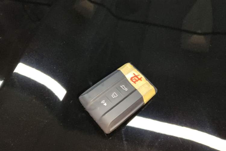 Used Tank 700 New Energy 2024 Hi4-T Extreme Edition Vehicle Key