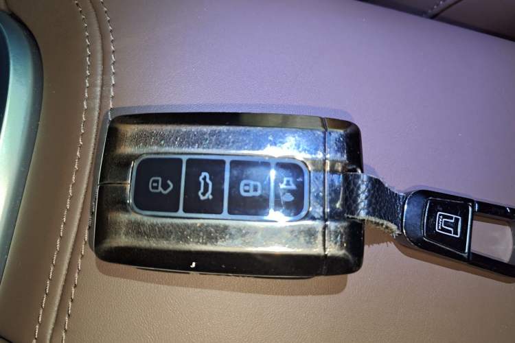 Used Tank 700 New Energy 2024 Hi4-T Extreme Edition Vehicle Key