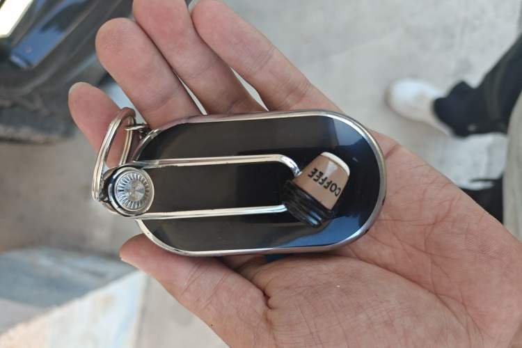 Used Tank 700 New Energy 2024 Hi4-T Extreme Edition Vehicle Key