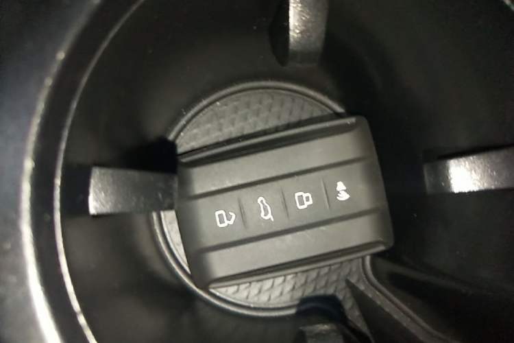 Used Tank 700 New Energy 2024 Hi4-T Extreme Edition Vehicle Key