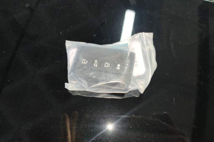 Used Tank 700 New Energy 2024 Hi4-T Extreme Edition Vehicle Key