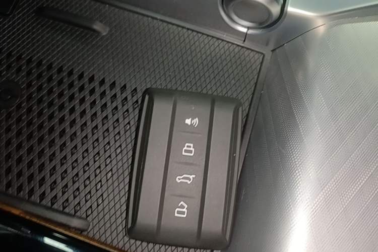 Used Tank 700 New Energy 2024 Hi4-T Extreme Edition Vehicle Key