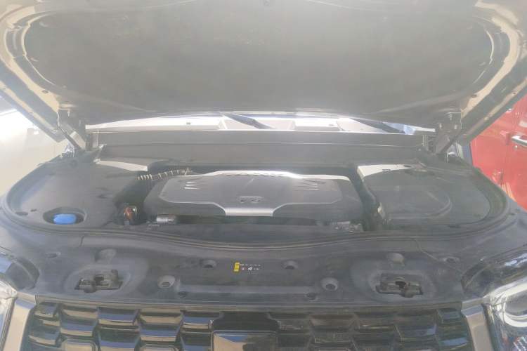 Used Tank 700 New Energy 2024 Hi4-T Extreme Edition Engine Bay