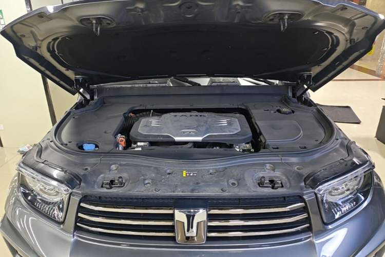 Used Tank 700 New Energy 2024 Hi4-T Extreme Edition Engine Bay