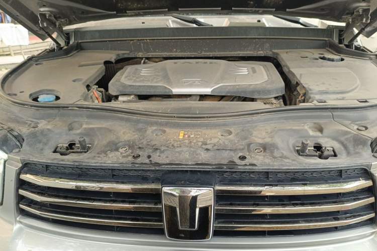 Used Tank 700 New Energy 2024 Hi4-T Extreme Edition Engine Bay