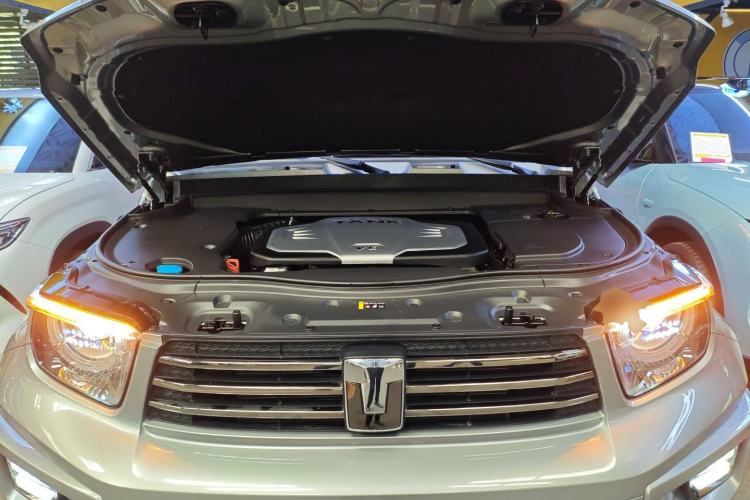 Used Tank 700 New Energy 2024 Hi4-T Extreme Edition Engine Bay