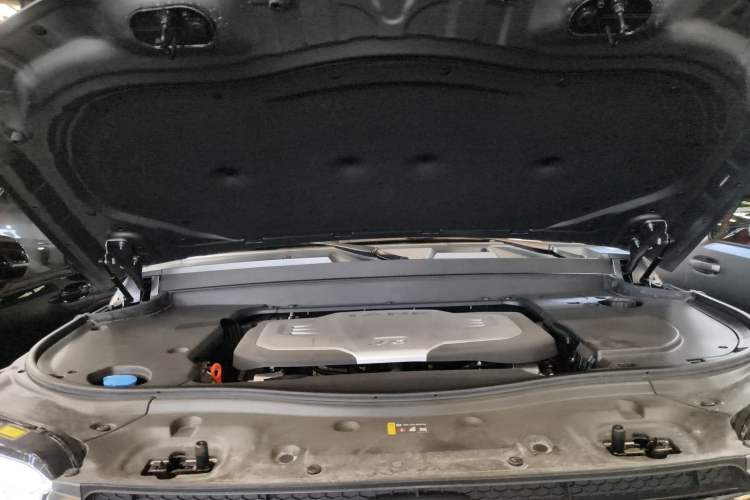 Used Tank 700 New Energy 2024 Hi4-T Extreme Edition Engine Bay