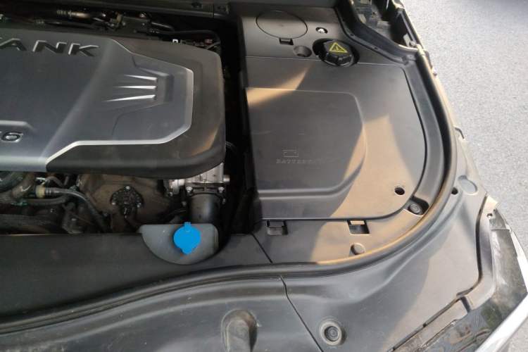 Used Tank 700 New Energy 2024 Hi4-T Extreme Edition Engine Bay Left