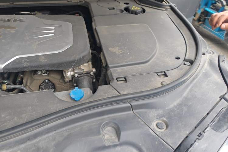 Used Tank 700 New Energy 2024 Hi4-T Extreme Edition Engine Bay Left