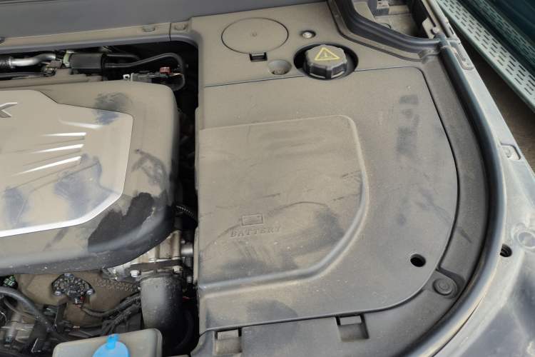 Used Tank 700 New Energy 2024 Hi4-T Extreme Edition Engine Bay Left