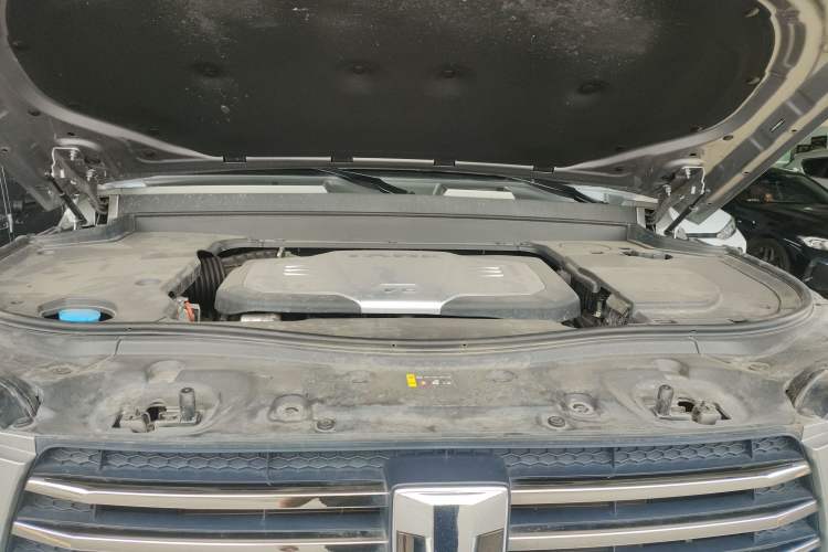 Used Tank 700 New Energy 2024 Hi4-T Ultimate Edition Engine Bay