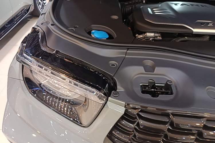 Used Tank 700 New Energy 2024 Hi4-T First-Edition Limited Model Engine Bay Right