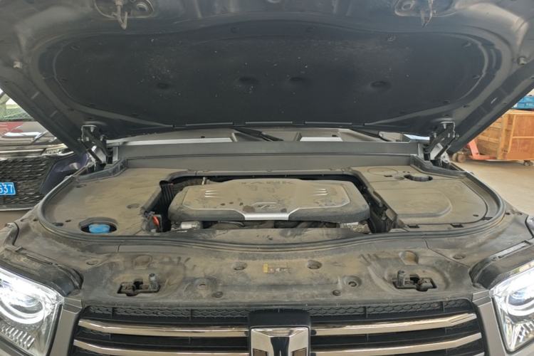 Used Tank 700 New Energy 2024 Hi4-T Extreme Edition Engine Bay