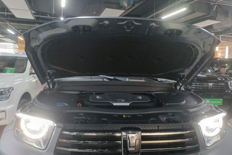 Used Tank 700 New Energy 2024 Hi4-T Extreme Edition Engine Bay