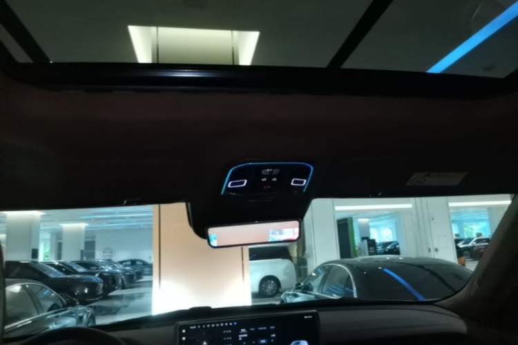 Used Tank 700 New Energy 2024 Hi4-T Extreme Edition Headliner