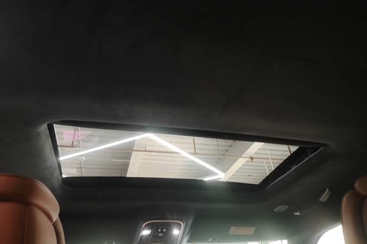 Used Tank 700 New Energy 2024 Hi4-T Ultimate Edition Headliner