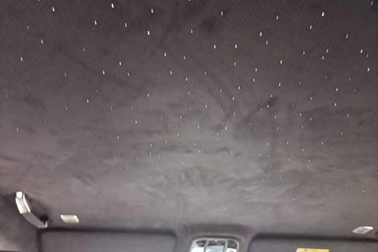 Used Tank 700 New Energy 2024 Hi4-T First-Edition Limited Model Headliner