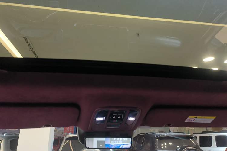 Used Tank 700 New Energy 2024 Hi4-T Extreme Edition Headliner