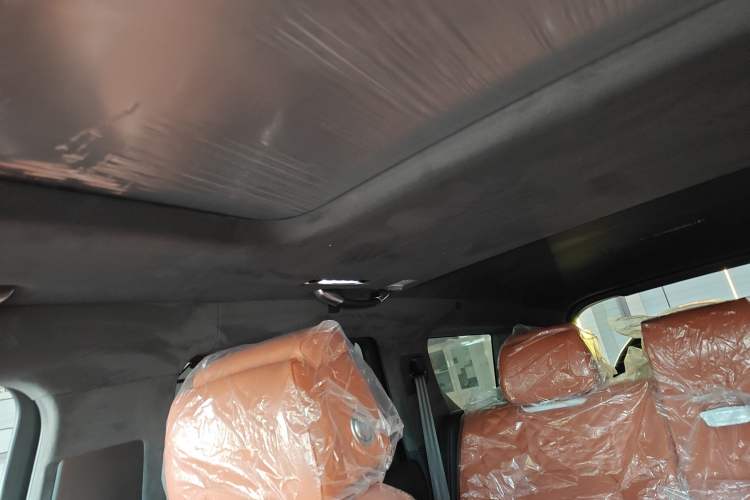 Used Tank 700 New Energy 2024 Hi4-T Extreme Edition Headliner