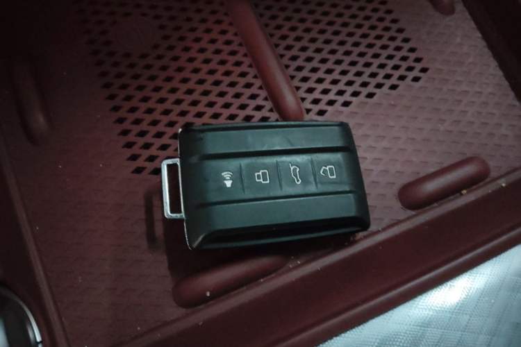 Used Tank 700 New Energy 2024 Hi4-T Extreme Edition Interior 1