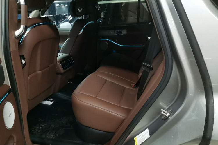 Used Tank 700 New Energy 2024 Hi4-T Extreme Edition Left Rear Seat