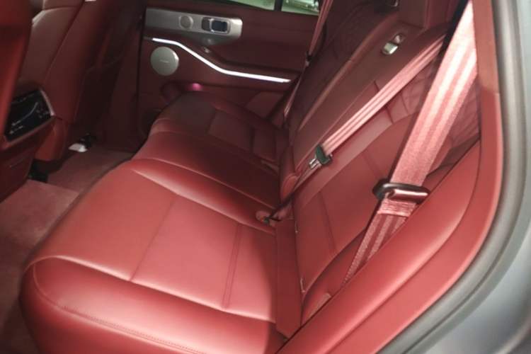 Used Tank 700 New Energy 2024 Hi4-T Extreme Edition Left Rear Seat