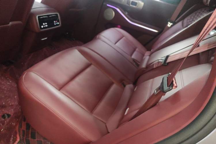 Used Tank 700 New Energy 2024 Hi4-T Extreme Edition Left Rear Seat