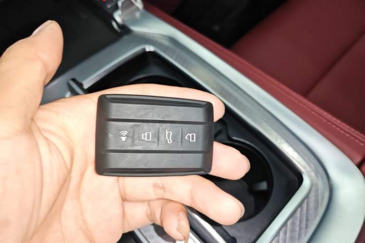 Used Tank 700 New Energy 2024 Hi4-T Extreme Edition Vehicle Key