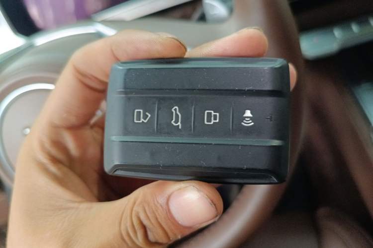 Used Tank 700 New Energy 2024 Hi4-T Extreme Edition Vehicle Key