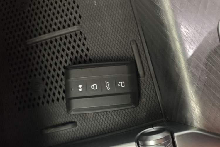 Used Tank 700 New Energy 2024 Hi4-T Extreme Edition Vehicle Key