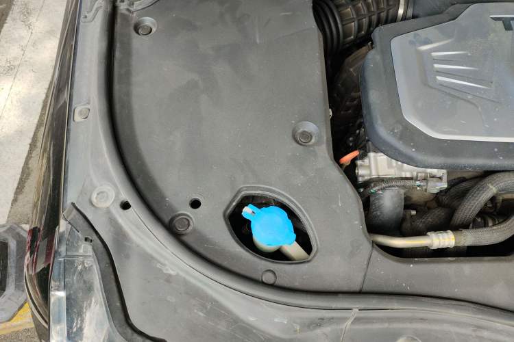 Used Tank 700 New Energy 2024 Hi4-T Extreme Edition Engine Bay Right