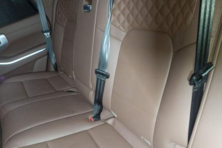 Used Tank 700 New Energy 2024 Hi4-T Extreme Edition Left Rear Seat