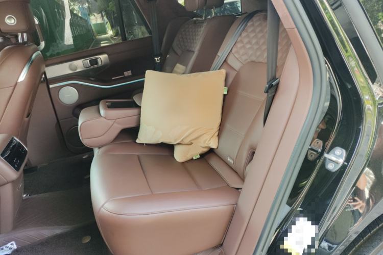 Used Tank 700 New Energy 2024 Hi4-T Extreme Edition Left Rear Seat