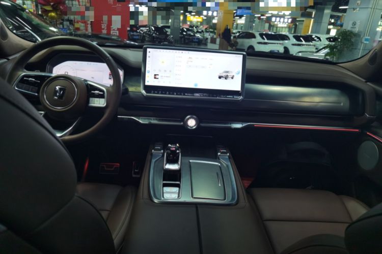 Used Tank 700 New Energy 2024 Hi4-T Extreme Edition Center Console
