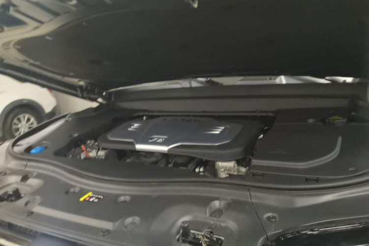 Used Tank 700 New Energy 2024 Hi4-T Extreme Edition Engine Bay