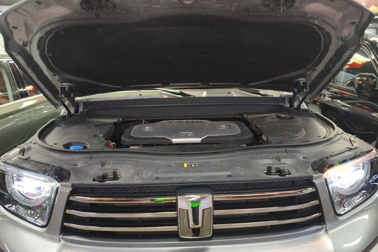 Used Tank 700 New Energy 2024 Hi4-T Extreme Edition Engine Bay