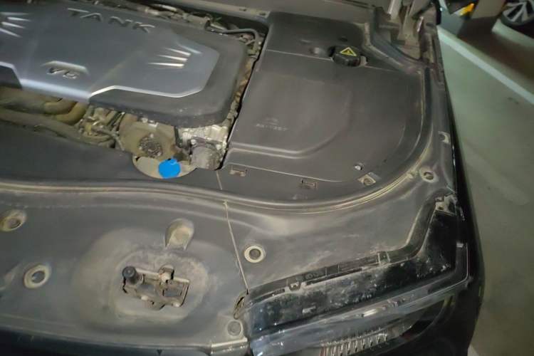 Used Tank 700 New Energy 2024 Hi4-T Extreme Edition Engine Bay Left