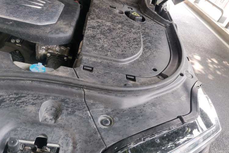 Used Tank 700 New Energy 2024 Hi4-T Extreme Edition Engine Bay Left
