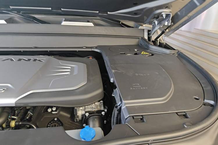 Used Tank 700 New Energy 2024 Hi4-T Extreme Edition Engine Bay Left