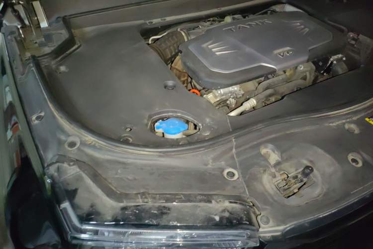 Used Tank 700 New Energy 2024 Hi4-T Extreme Edition Engine Bay Right